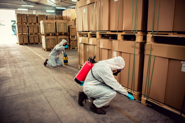 Best Termite Control Services  in Marthasville, MO