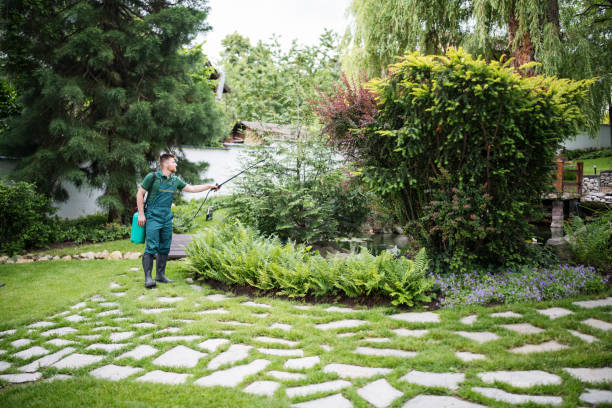 Best Pest Removal Services  in Marthasville, MO