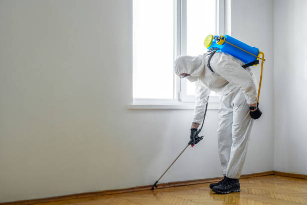Best Pest Inspection Near Me  in Marthasville, MO