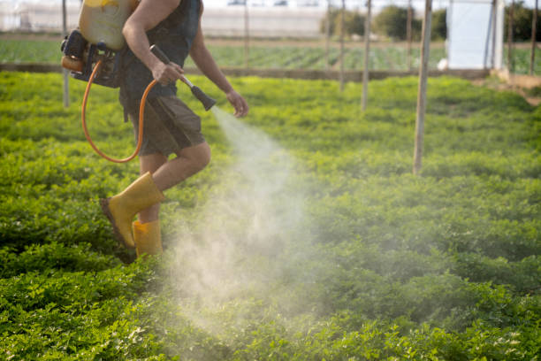 Best Pest Inspection Near Me  in Marthasville, MO