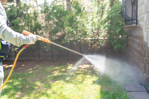 Professional Pest Control in Marthasville, MO