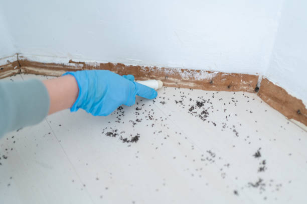 Best Residential Pest Control  in Marthasville, MO